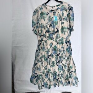 Hayden Cream and Blue Floral Women’s Dress NWT 2x